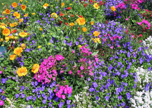 780449 (a): :2700x1915